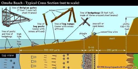 Atlantic Wall - Alchetron, The Free Social Encyclopedia