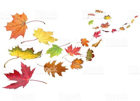 Fall Leaves In The Wind Stock Photo ... | Wind art, Autumn leaves, Wind drawing