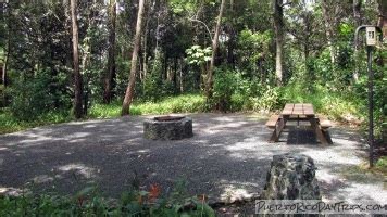 Camping in Maricao State Forest | PRDayTrips