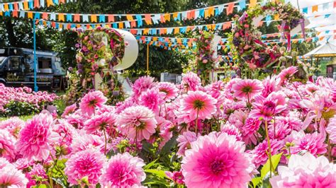 The RHS Hampton Court Flower Show 2022: a complete guide | Gardeningetc