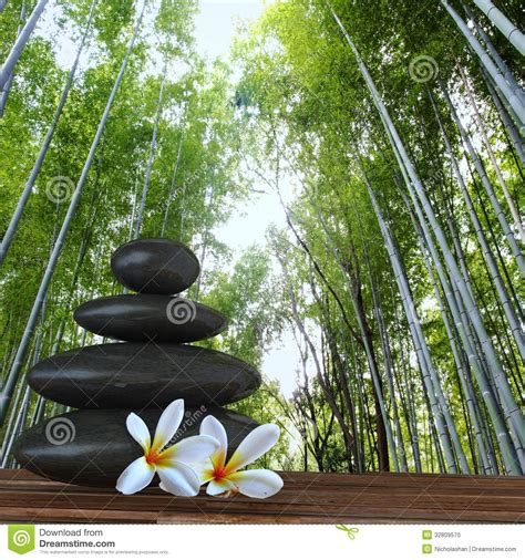 Bamboo Stone Flower HD Wallpaper - WallpaperSafari