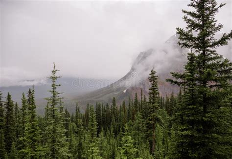 Mist in the Mountains after Rain - the Beautiful Rocky Mountains in ...