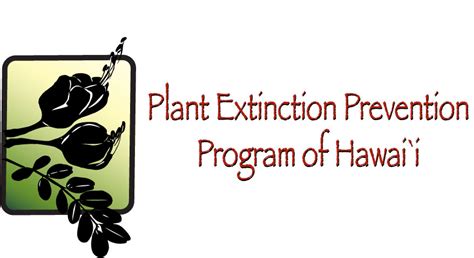 Plant Extinction Prevention Program – Maui Forest Bird Recovery Project