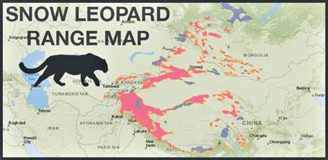 Snow Leopard Distribution Map