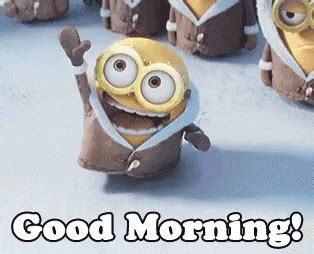 Good Morning GIFs - Get the best GIF on GIPHY