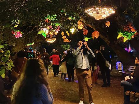 The 11th Annual Autumn Lights Festival Lights the Night