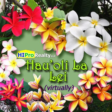 A Virtual Lei - Hou'oli La Lei - Happy Lei Day!