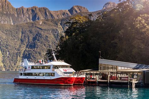 Underwater Observatory Milford Sound - Visit Fiordland