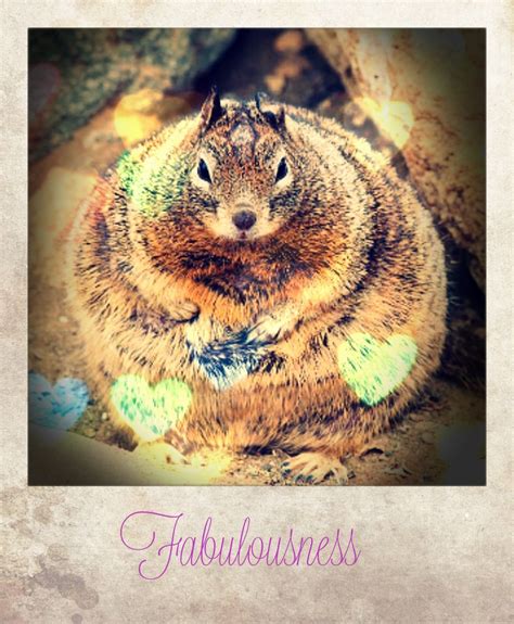 Fabulous Obese Chipmunk @Meranna14 @puertorico148 @coolepicsome ...