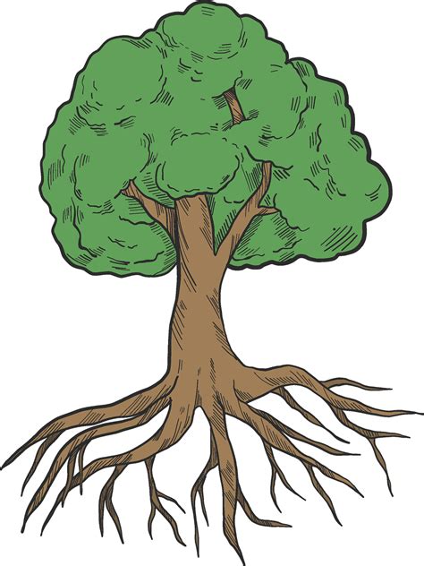 Mango Tree With Roots Clipart