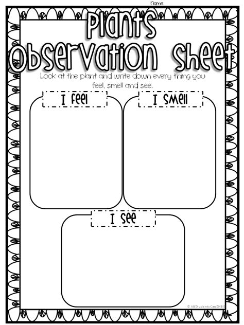 Observation Worksheet For Elementary Science