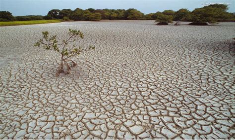 How Can We Stop Running Out of Water? - A Sharp Eye