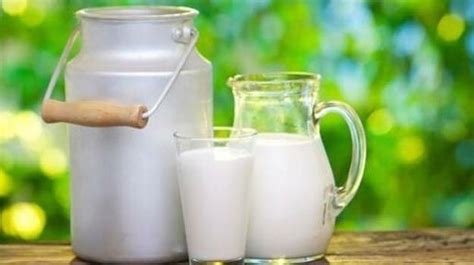 100% Cow Based Milk With 2 Days Shelf Life, Rich In Zinc, Vitamins B12 And B6, And Cla Age Group ...