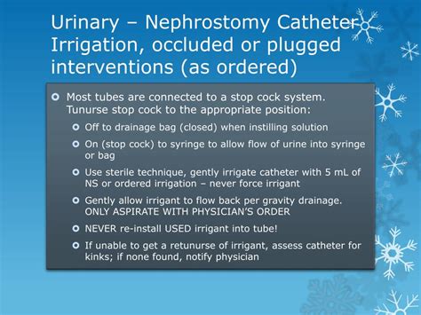 PPT - Urinary – Nephrostomy Catheter Care PowerPoint Presentation, free ...