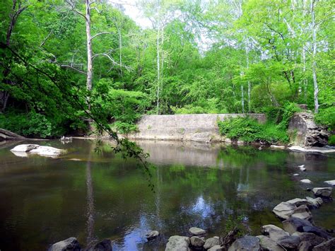 Hiking with a Fat Bald White Guy: Eno River State Park - Laurel Bluff Trail