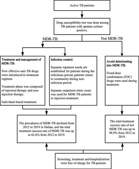 Strategies for the prevention and control of MDR-TB in Dalian. | Download Scientific Diagram