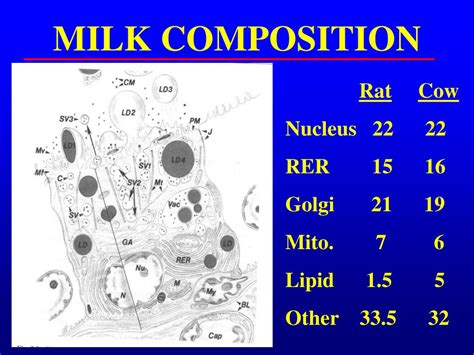 PPT - MILK COMPOSITION PowerPoint Presentation, free download - ID:2359702