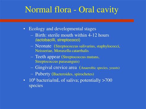 PPT - Normal Flora PowerPoint Presentation - ID:661768