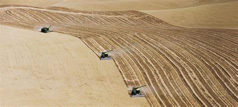 Hidden Costs of Industrial Agriculture | Union of Concerned Scientists