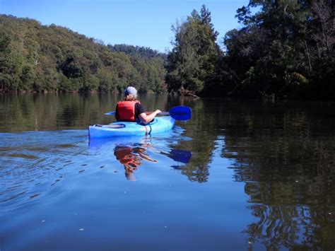 Kangaroo Valley Camping Guide - Curious Campers