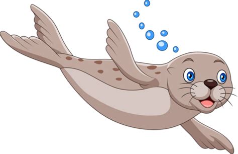 Cartoon Seal Swimming On White Background, Cute, Tropical, Aquatic PNG ...