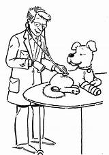 Veterinary Coloring Pages For Education sketch template