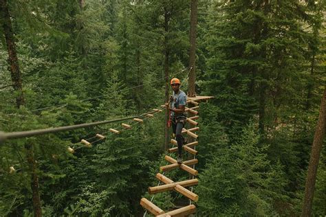 Golden Skybridge: Experience a Unique Thrill Alongside Epic Views