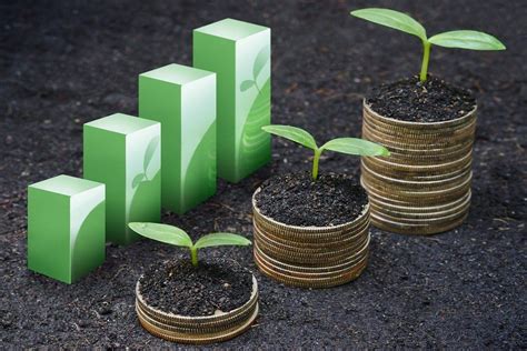 8 Economic Sustainability Examples that Inspire Change and Growth ...