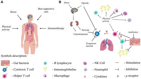 Early palliative care of non‑small cell lung cancer in the context of ...