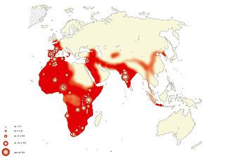 Early expansions of hominins out of Africa - Wikipedia