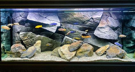 Custom Sized Fish Aquarium Backgrounds Universal Rocks, 51% OFF