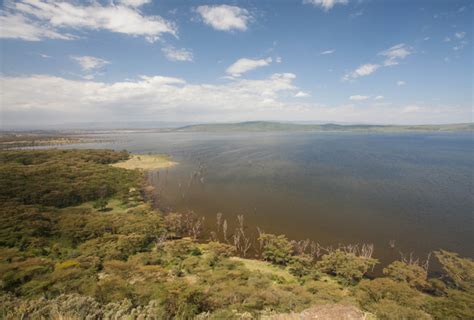 Lake Nakuru - The Jewel of Africa’s Rift Valley - Africa Geographic