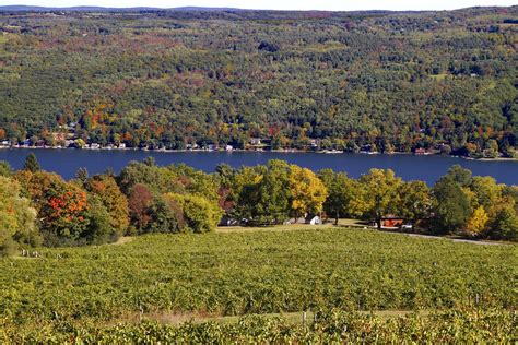 Bully Hill Vineyards 2 | Keuka Lake | cardadz3 | Flickr