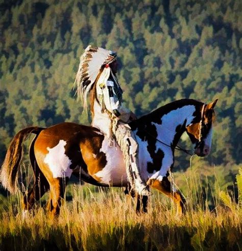 Pin by Rich Kepple on índios(Native) | American paint horse, Native american horses, Horse painting