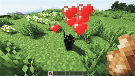 What Do Cats Eat in Minecraft