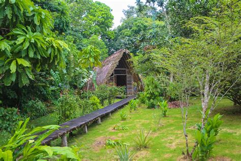 5 Things to do in Yasuni National Park