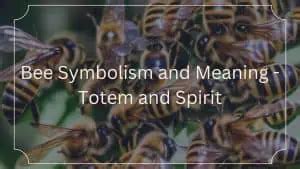 Bee Symbolism and Meaning: Everything You Need to Know