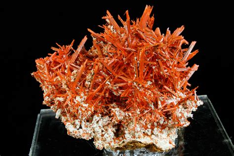 5.7" Vibrant Orange Crocoite Crystal Cluster - Stunning Specimen ...