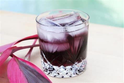 Purple Passion Punch Cocktail - Aspiring Winos