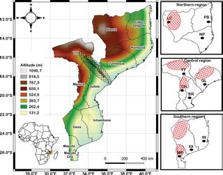 Climate change impact on Spodoptera frugiperda (Lepidoptera: Noctuidae ...