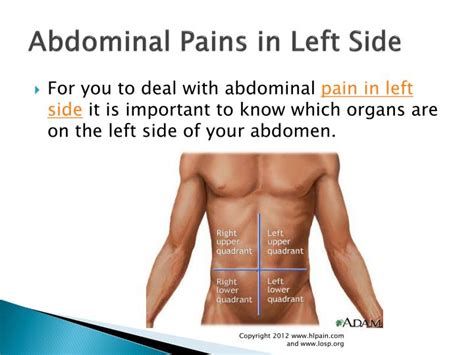 PPT - how to Treat Abdominal Pain in Left Side PowerPoint Presentation ...