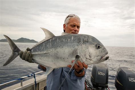 Giant Trevally | River Monsters Wiki | Fandom