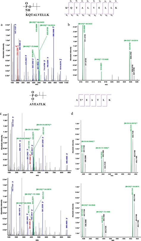 Forensic analysis of soman exposure using characteristic fragment ions from protein adducts - F ...