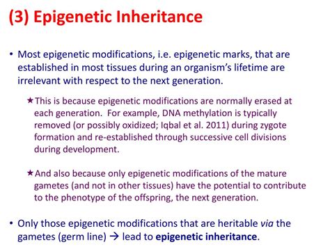 Epigenetics Examples