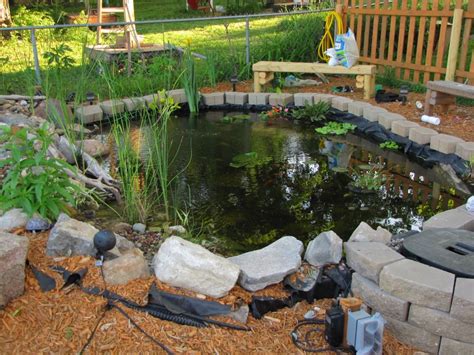 red ear slider outdoor habitat; also could use as outdoor pond. Red Ear ...