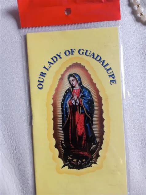 Novena prayer Our Lady of Guadalupe english novena | Lazada PH