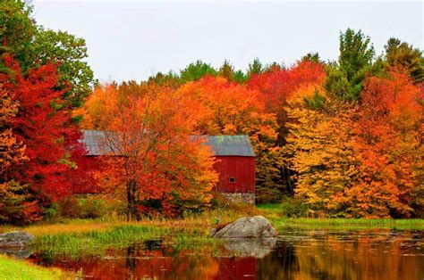 Beautiful Fall Barn The Fallen, Cities, Greatest, Farm Scene, Autumn Scenery, Fall Pictures ...