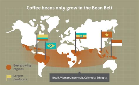 Where does coffee come from? A journey from bean to cup.