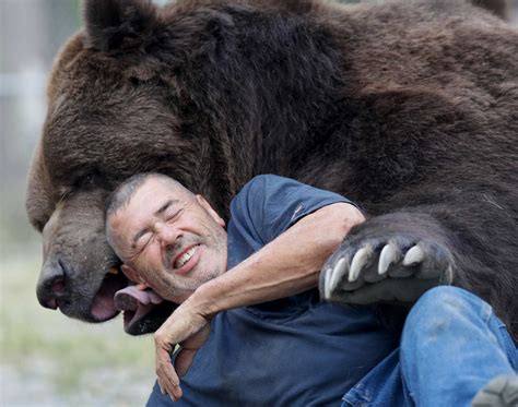 Big bear hugs attract social media attention