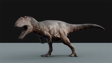 Giganotosaurus 3D Model by DerpyDuckArt on DeviantArt